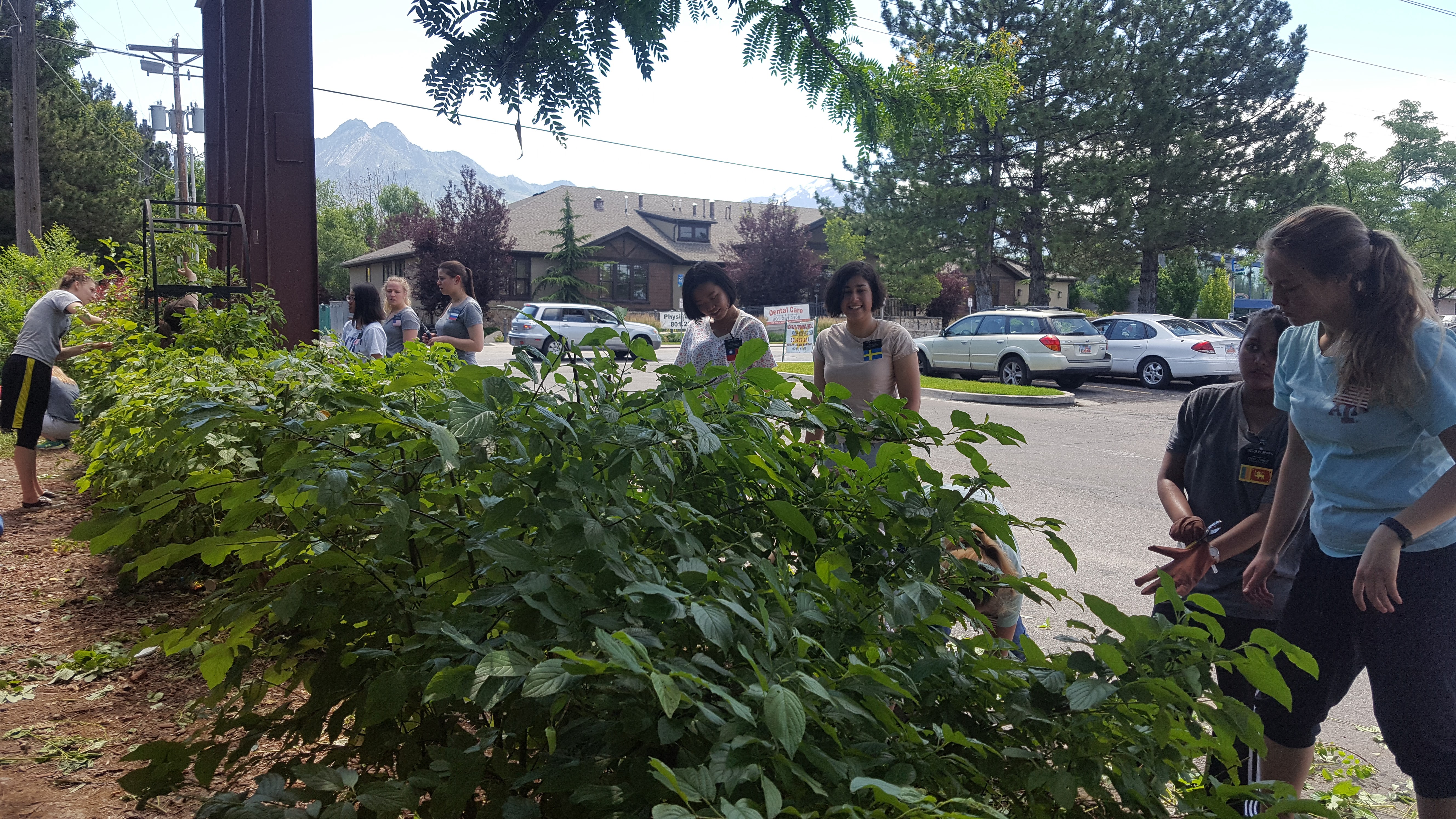 20 LDS Sister Missionaries From Around the Globe Serve At MOSAIC! Mary's Garden Open to the Community 24/7 for Service & Contemplation